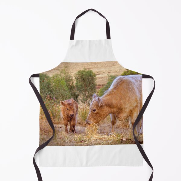 Item preview, Galloway Cows designed and sold by markrichards.