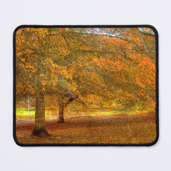 Item preview, Colours of Autumn designed and sold by markrichards.