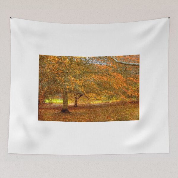 Item preview, Colours of Autumn designed and sold by markrichards.