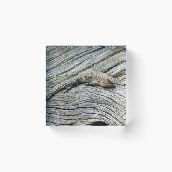 Item preview, Flat out like a...................... designed and sold by elsha.