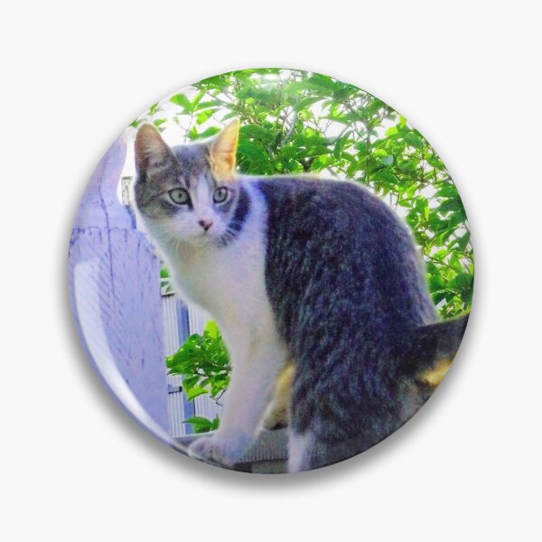 Artikelvorschau, Cat Burgler entworfen und verkauft von elsha.