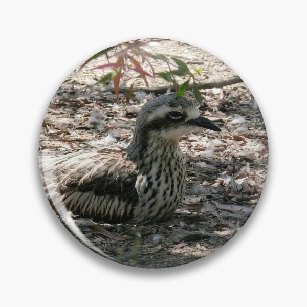 Item preview, Bush Stone Curlew nesting designed and sold by elsha.