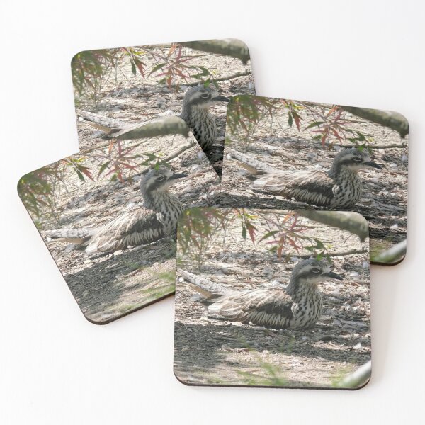 Item preview, Bush Stone Curlew nesting designed and sold by elsha.