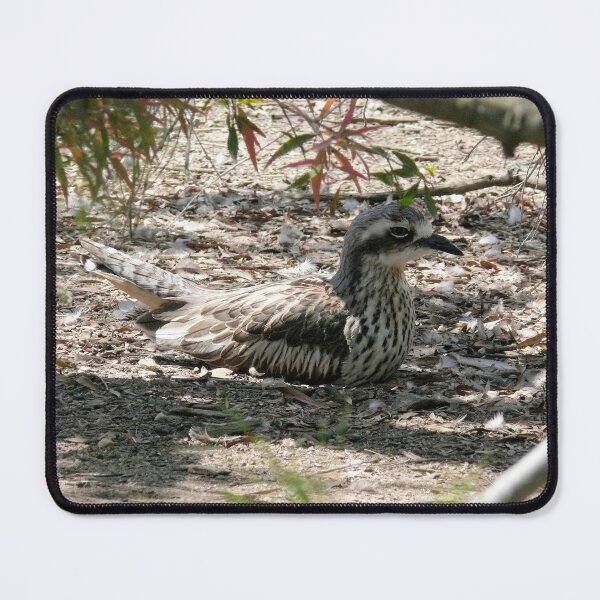 Item preview, Bush Stone Curlew nesting designed and sold by elsha.