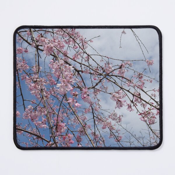 Item preview, sakura branches designed and sold by cuisinecat2.