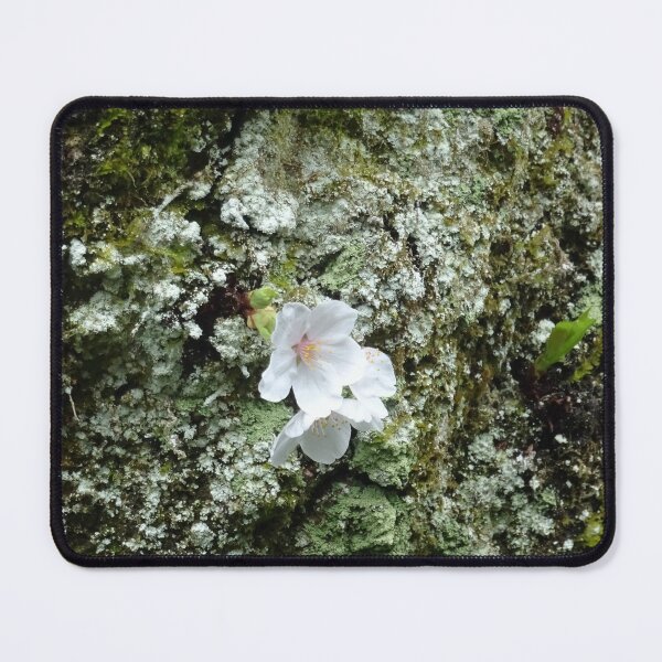 Item preview, Lonely sakura designed and sold by cuisinecat2.