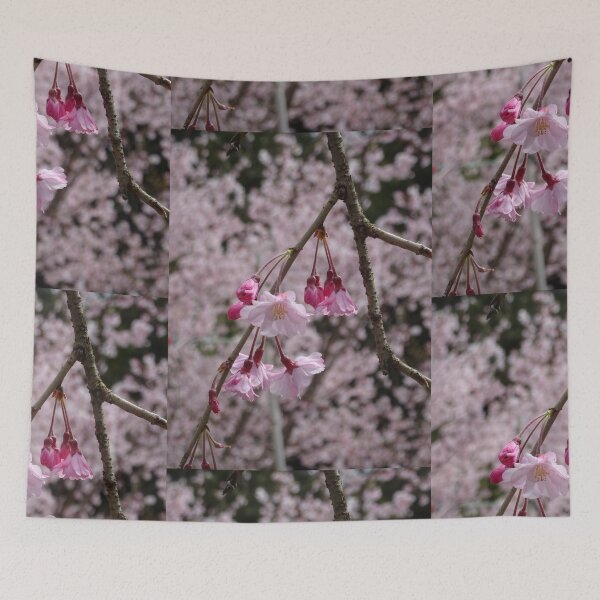 Item preview, Pretty pink sakura designed and sold by cuisinecat2.