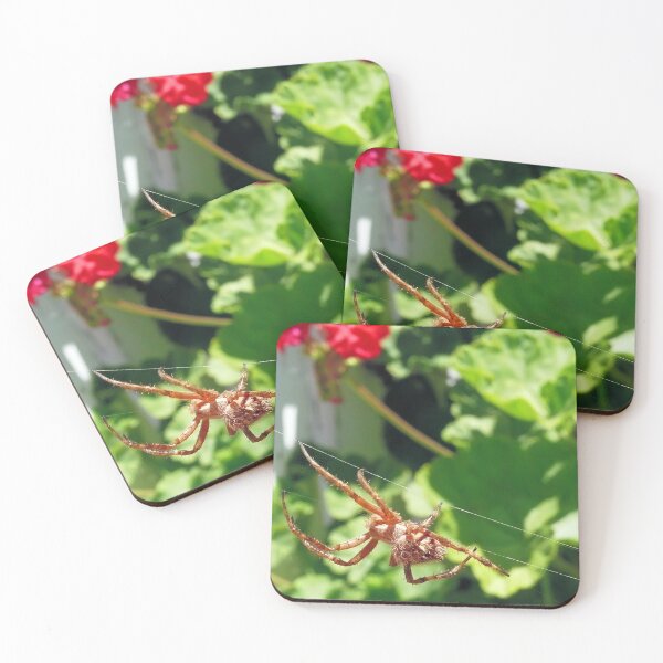 Item preview, Just walking the tightrope of life designed and sold by elsha.