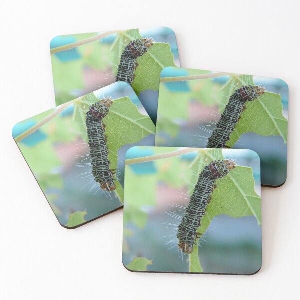Artikelvorschau, The very hungry caterpillar entworfen und verkauft von elsha.