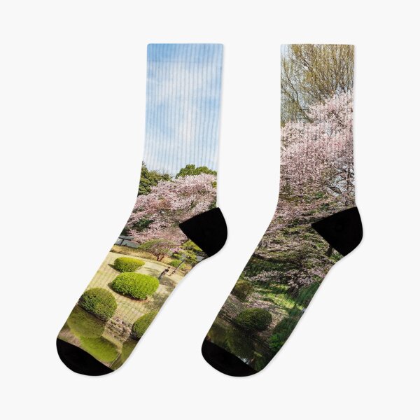 Item preview, Tokyo Shinjuku Gyoen park nature and cherry blossoms designed and sold by Martin Berry Photography.