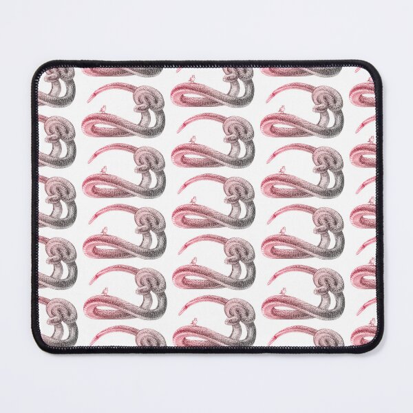 Item preview, Hey, Little Songbird (red&grey) designed and sold by Zack Stith.