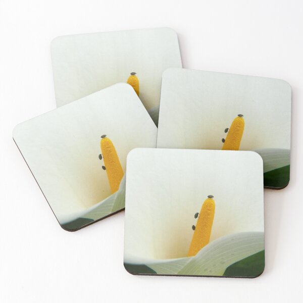 Item preview, And finally......they made it to the summit designed and sold by elsha.
