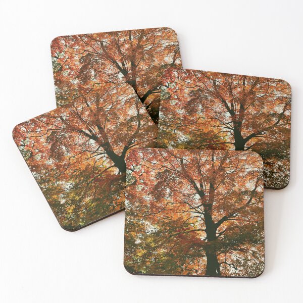 Item preview, The Beauty of Trees - Autumn designed and sold by fototaker Tony.