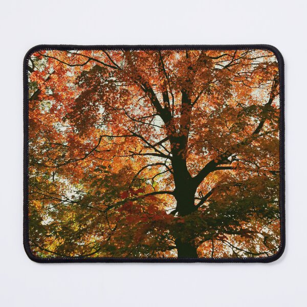 Item preview, The Beauty of Trees - Autumn designed and sold by fototaker Tony.
