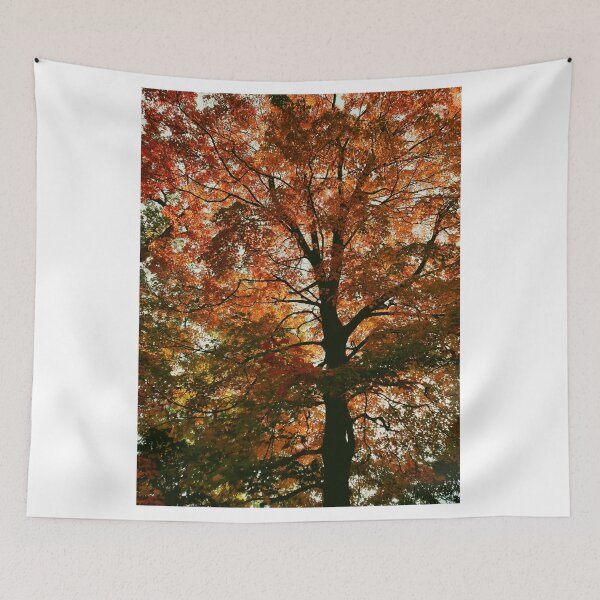 Item preview, The Beauty of Trees - Autumn designed and sold by fototaker Tony.
