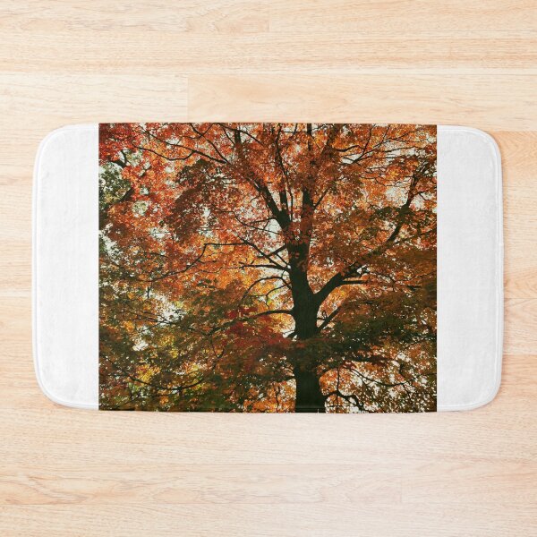 Item preview, The Beauty of Trees - Autumn designed and sold by fototaker Tony.