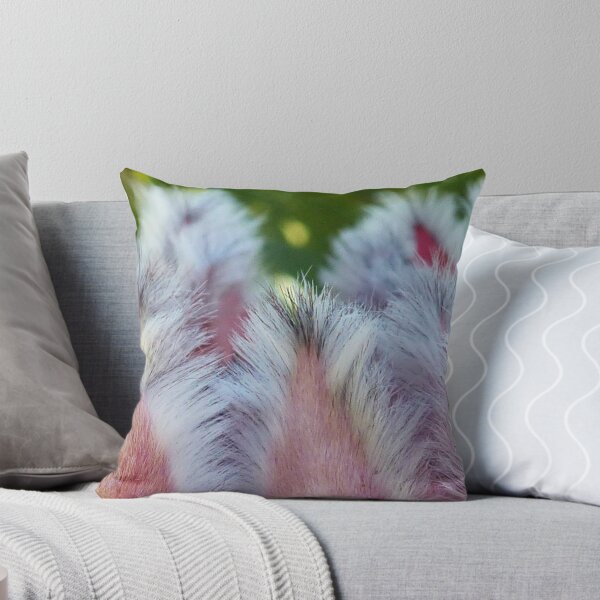 Item preview, Frosted Feathers designed and sold by Pauline Sykes.
