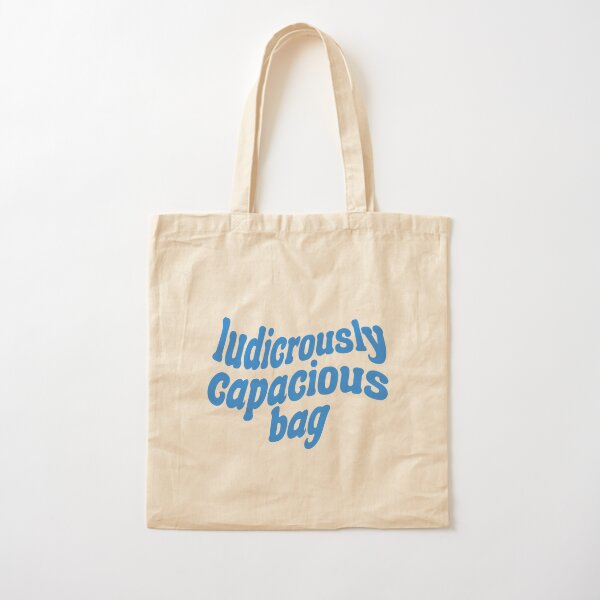 My new ludicrously capacious Hereu tote : r/handbags