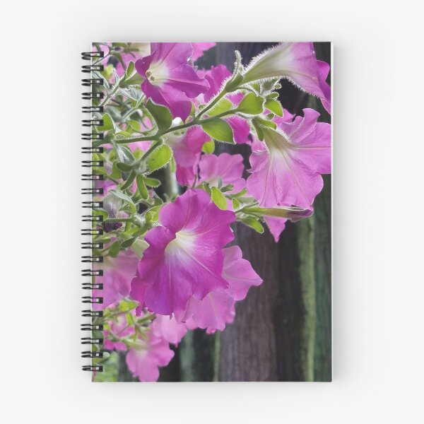 Item preview, Radiant Pink Petunias designed and sold by Betty Mackey.