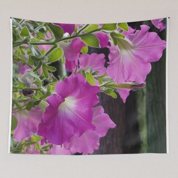 Item preview, Radiant Pink Petunias designed and sold by Betty Mackey.