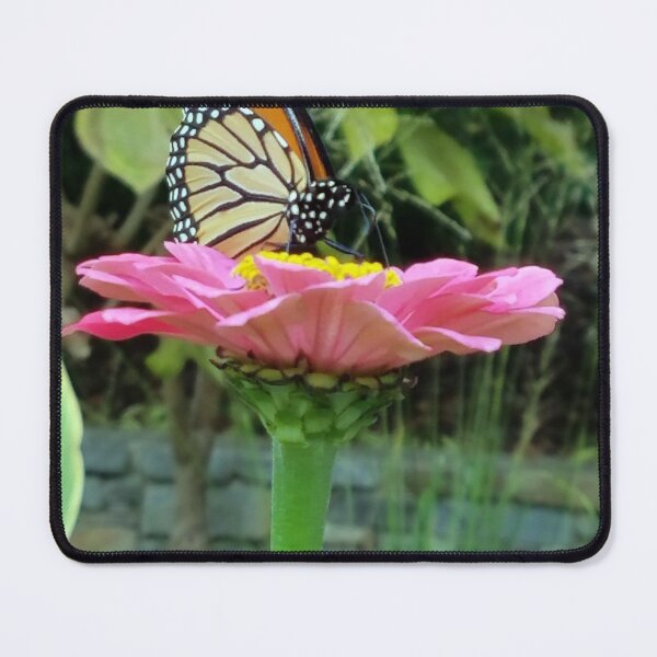 Item preview, Monarch Butterfly Perched on a Zinnia designed and sold by Betty Mackey.