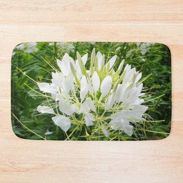 Item preview, White Cleome Flowers designed and sold by Betty Mackey.