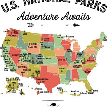 Imagen de la obra Camiseta vintage con mapa de parques nacionales: regalos de los 63 parques nacionales, camisetas para hombres, mujeres y niños de LiqueGifts