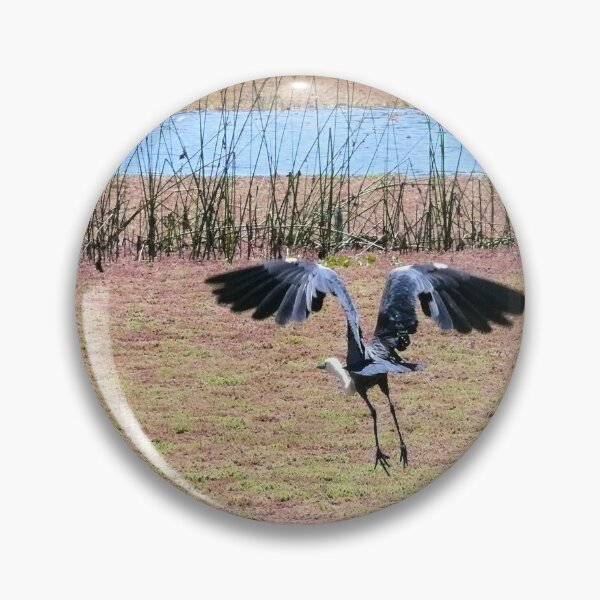 Item preview, White-Necked (Pacific) Heron designed and sold by elsha.