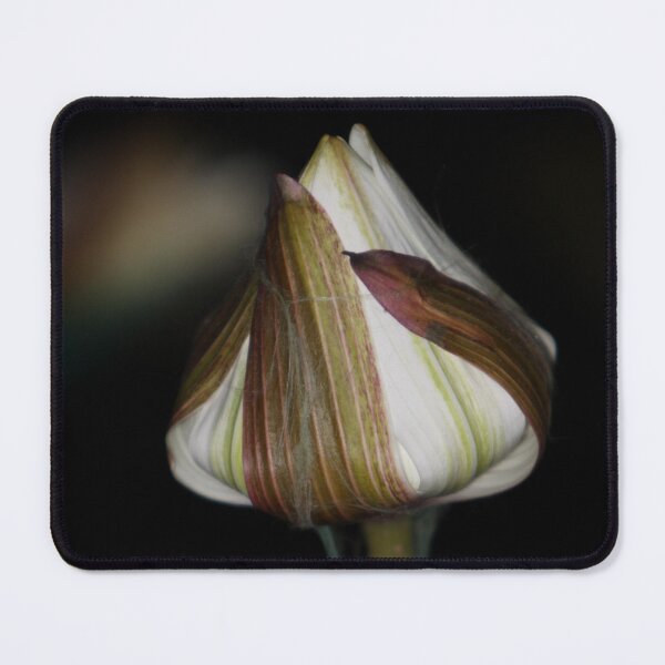Item preview, Seconds Before Bursting Open designed and sold by Robert Armendariz.