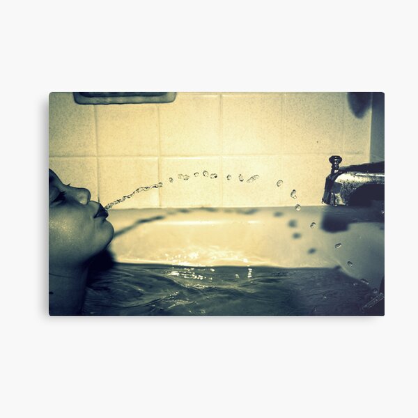 Bathtime Fun Metal Print