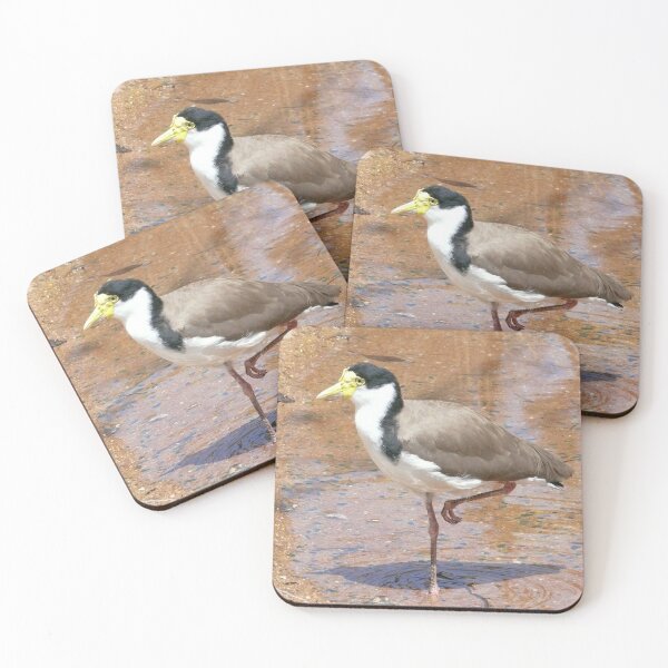 Item preview, Masked Lapwing   aka   Plover designed and sold by elsha.