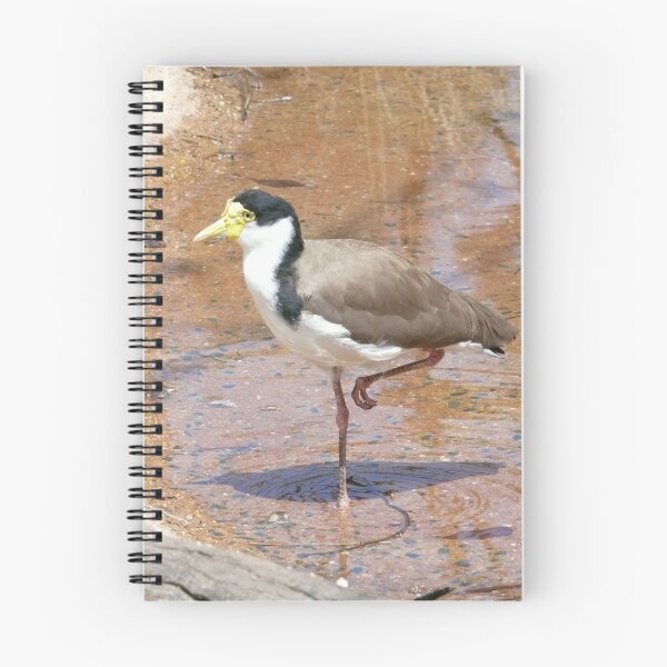 Item preview, Masked Lapwing   aka   Plover designed and sold by elsha.