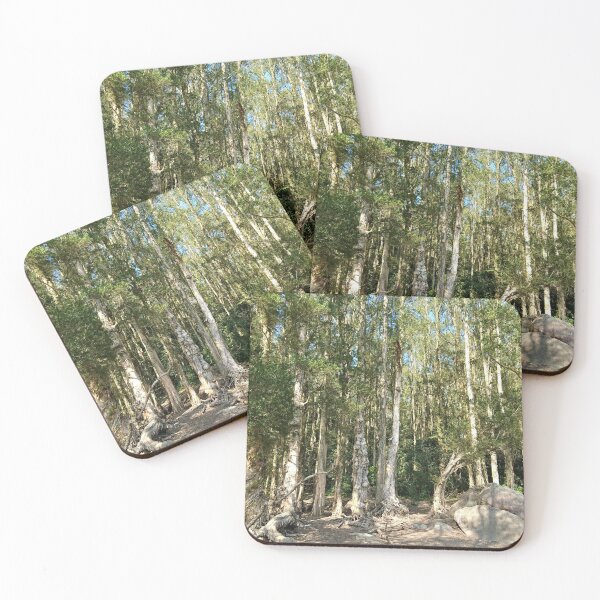 Item preview, paper bark tree forest  designed and sold by ColorandColor.