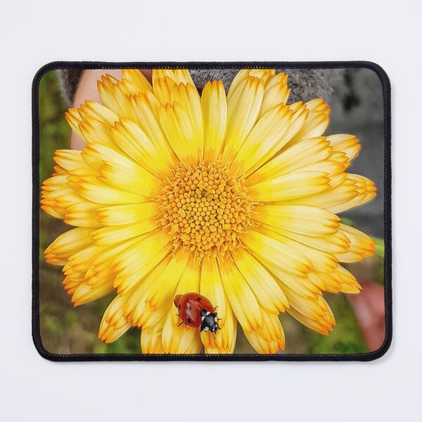 Artikelvorschau, Pure Nature - Marienkäfer auf einer gelben Blume entworfen und verkauft von Graf-der-Nacht.