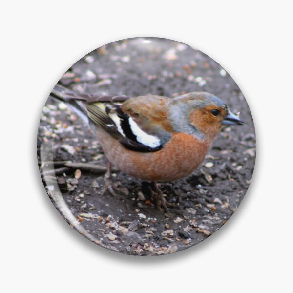 Item preview, chaffinch designed and sold by KathleenDawson.