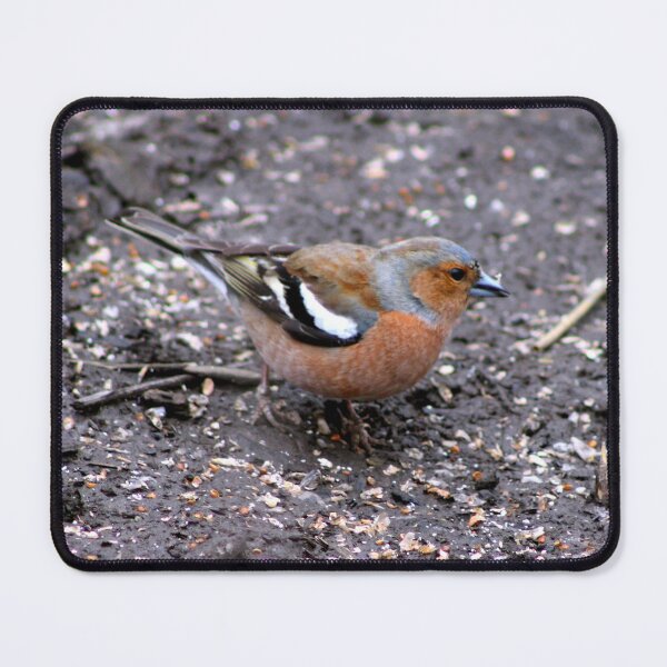 Item preview, chaffinch designed and sold by KathleenDawson.