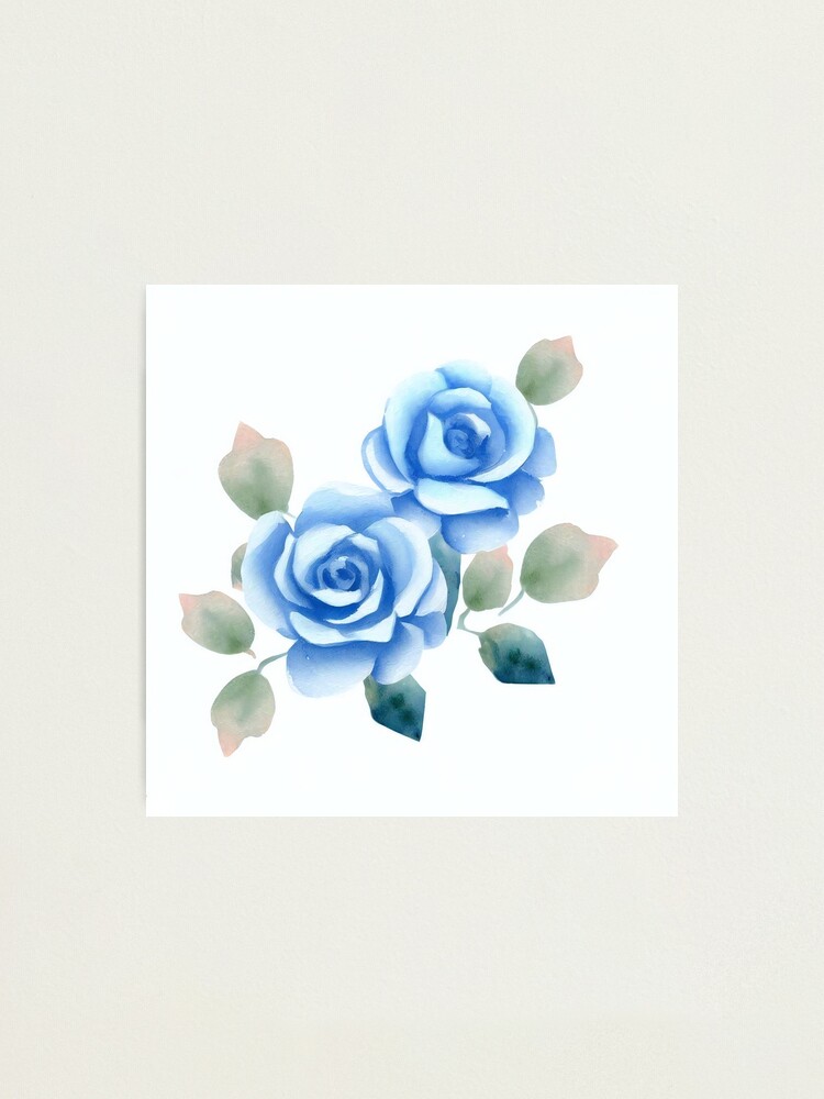 Blue Rose Watercolor Art Print, Pale cheapest Blue Floral Wall Decor, Single Rose Blossom Print