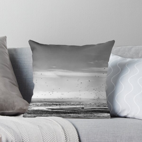 Item preview, Sea Birds above Keiss Beach, Caithness, Scotland designed and sold by Iain MacLean.