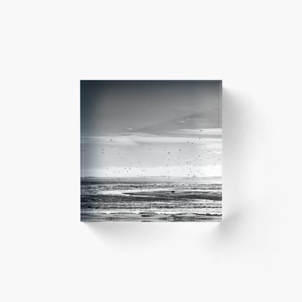Item preview, Sea Birds above Keiss Beach, Caithness, Scotland designed and sold by Iain MacLean.