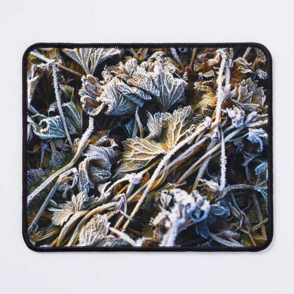 Item preview, Winter / forest / frost designed and sold by AnalogWorld.