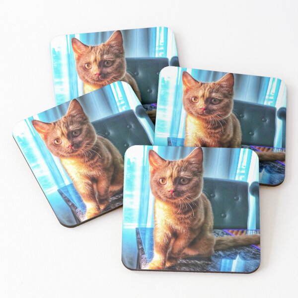Item preview, Mochi the Wonder Cat. designed and sold by Grin.