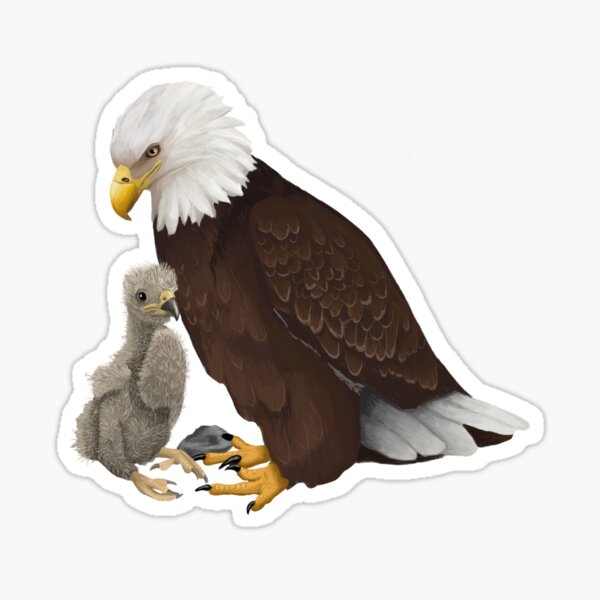 Item preview, Bald Eagle and Eaglet designed and sold by Kindahawkward.