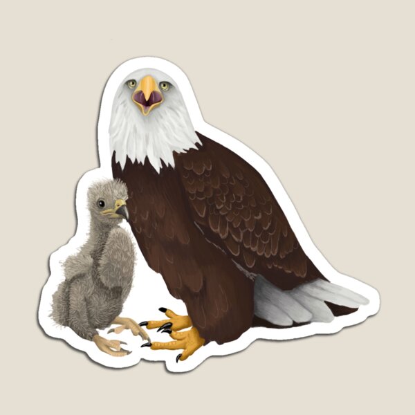 Item preview, Bald Eagle and Eaglet designed and sold by Kindahawkward.