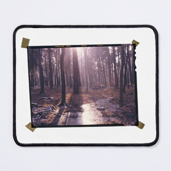 Item preview, Forest / nature  designed and sold by AnalogWorld.