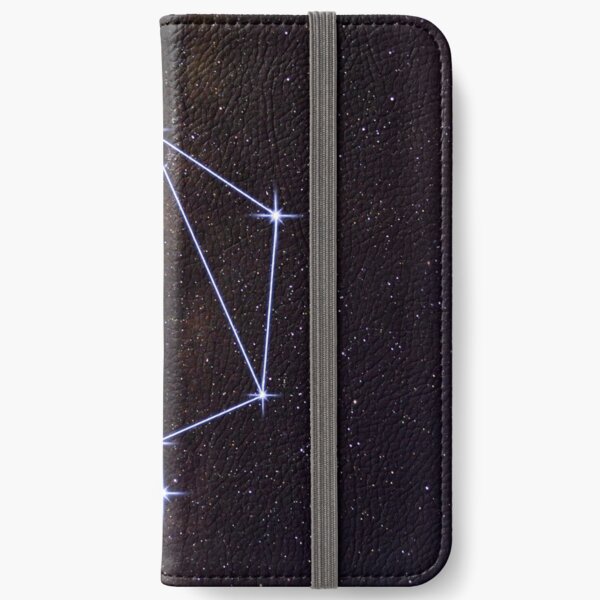 Libra iPhone Wallet