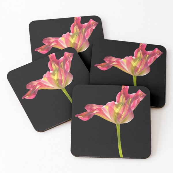 Item preview, 1 red-green tulip with a black background designed and sold by Binas-gallery.