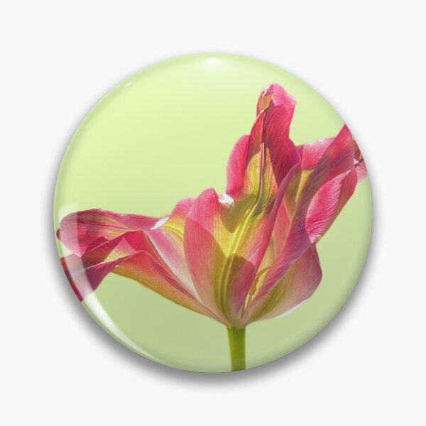 Item preview, 1 red-green tulip with a light yellow-green background designed and sold by Binas-gallery.