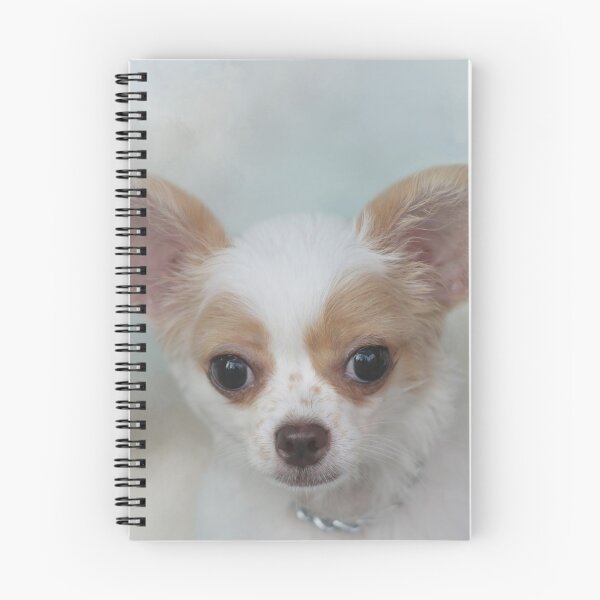 Item preview, Brown and White Chihuahua Puppy 01 designed and sold by Elisabeth Lucas.
