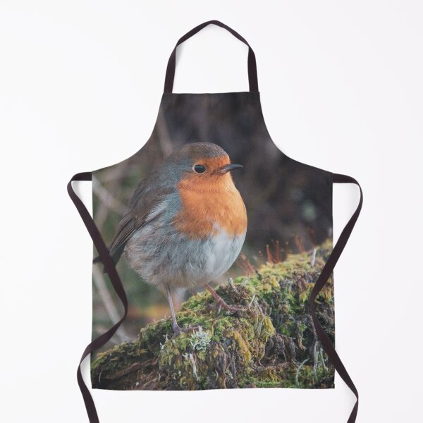 Item preview, Robin red breast designed and sold by Hike-and-Click.