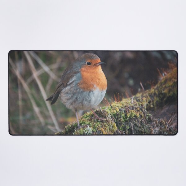 Item preview, Robin red breast designed and sold by Hike-and-Click.